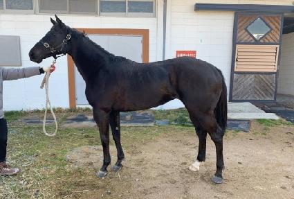 ���� ����