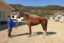 �����̾� (TOP FIRE) ����