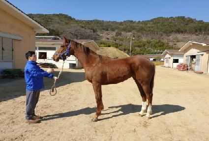 �����̾� ����