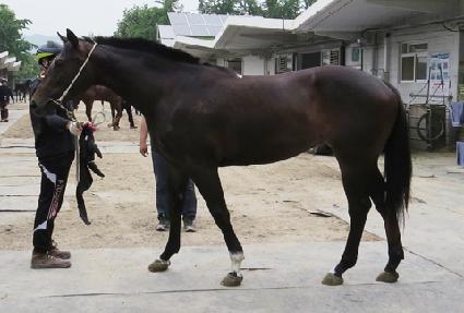 ������ ����