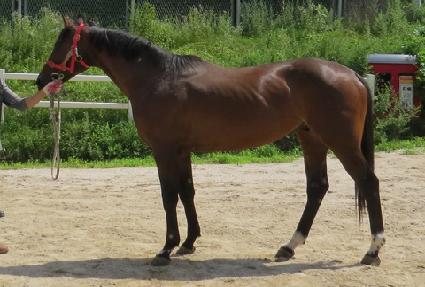 �帲�м� ����