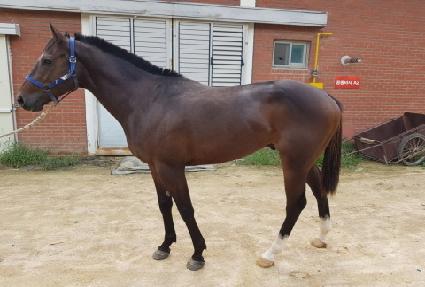 ���� ����