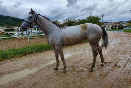 �¸��� ����