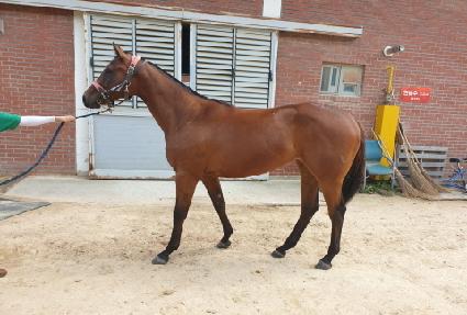 ��½�ũ ����