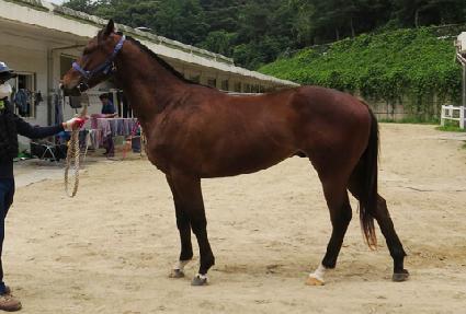 ����м� ����