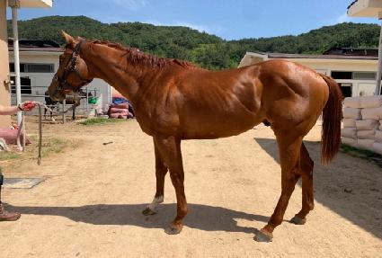 �����ν���Ʈ ����