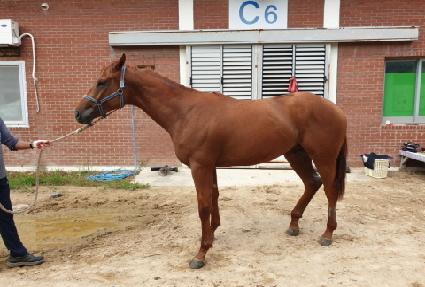 �����˴��� ����