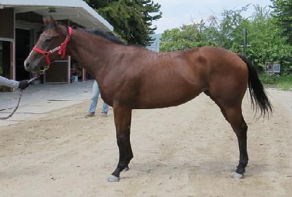 �ε�� ����