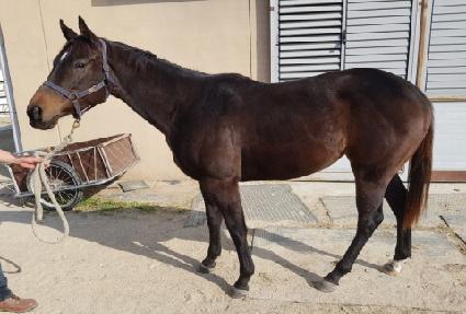 �ö��׹��� ����