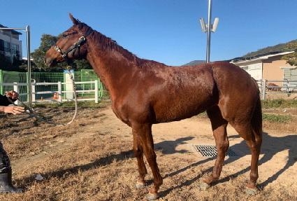 ���ϵ���� ����