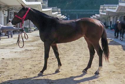 ��õ���� ����