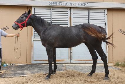 ��Ʋ�� ����