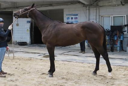 �ϴ��� ����