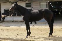 ����� (MUDEUNG BIMA) ����