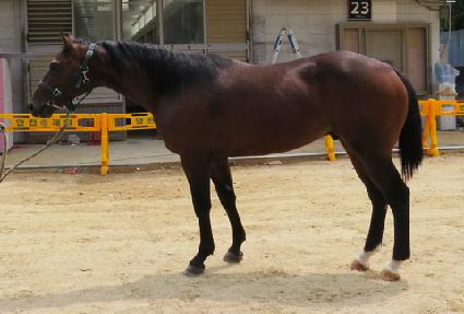 �������� ����