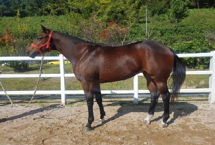 �̽����� ����