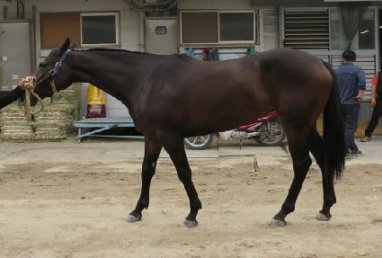 �����ҴϾ� ����