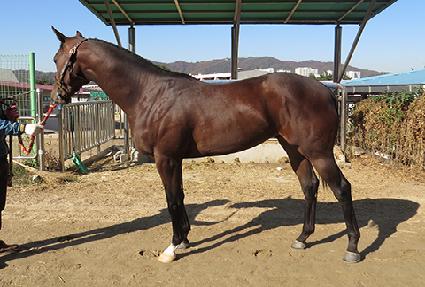 �Ʒθ� ����