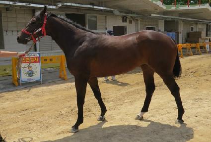 ������� ����