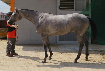 ��õ���̽� ����