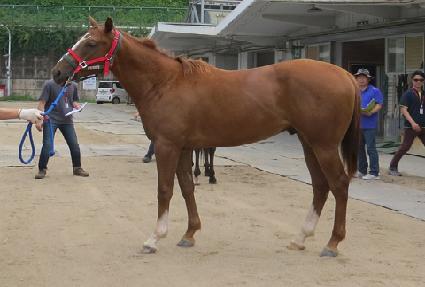 õ�ձ⼼ ����