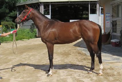 �۾��÷��̾� ����