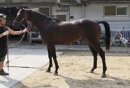 ���Ѽ��� ����