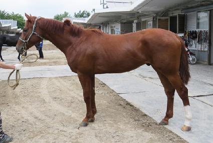 û�����̴� ����