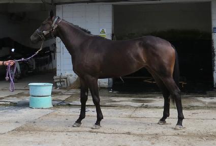 û�㿩�� ����