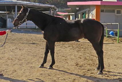 �ݼ����� ����