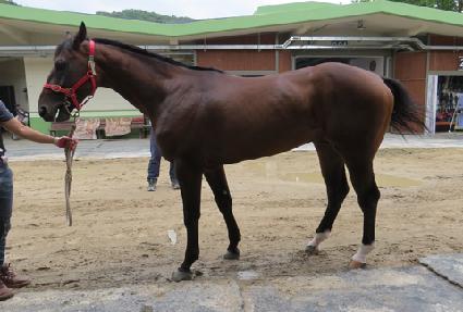 ��ȣ�� ����