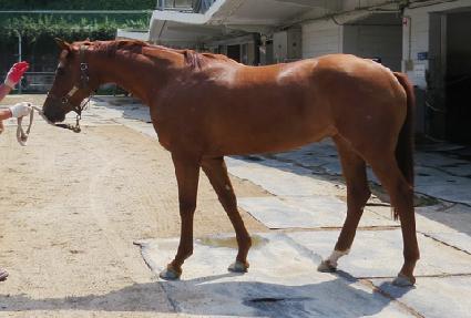 �Ѷ���� ����