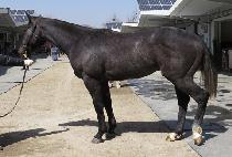 ���̿������� (J M FIGHTER) ����