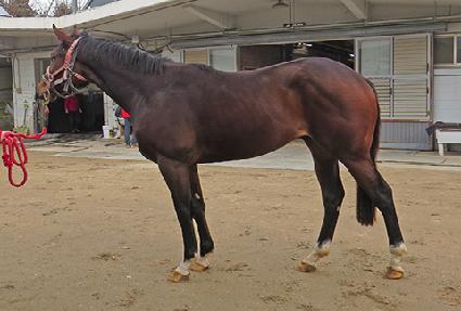 ���ŷ ����