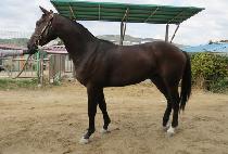 ���̽��Լ� (ACE HAMSEONG) ����