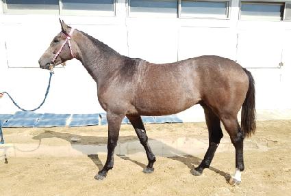 �������� ����