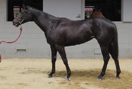 ���ָ� ����