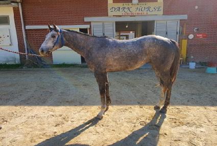 ����Ʈ��� ����