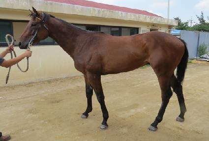 ¯�� ����