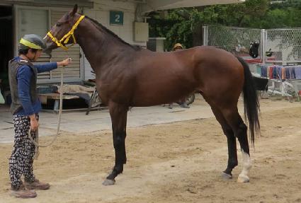 ��°� ����