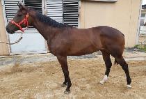 TWO TWO GREAT picture