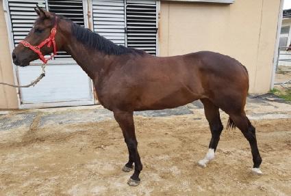 �����׷���Ʈ ����