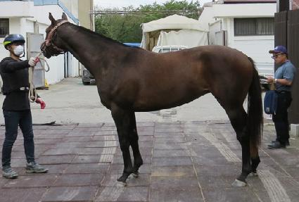 ��½���� ����