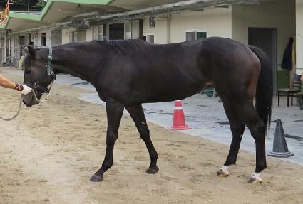 ��Ƹ� ����