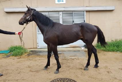 ���ϵ���� ����