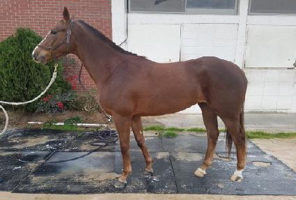 õ���ϼ� ����