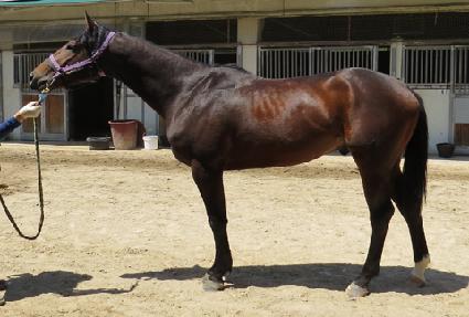 ����Ʈ�Ŀ� ����