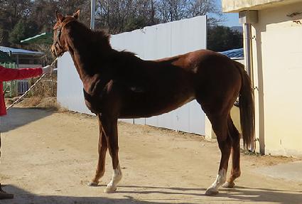 �ŵ����� ����