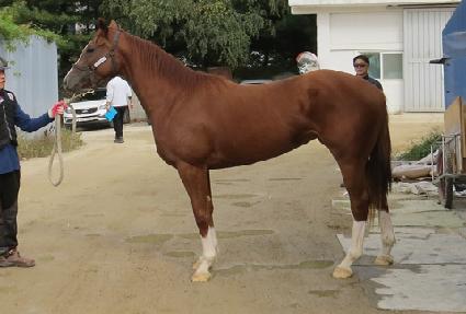 �ε���Ǽ� ����