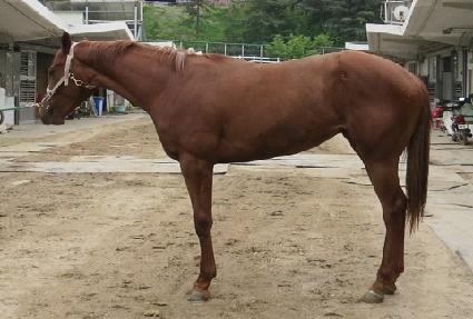 ���ǸӴ� ����